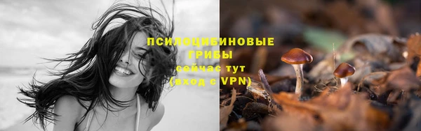 твердый Балабаново