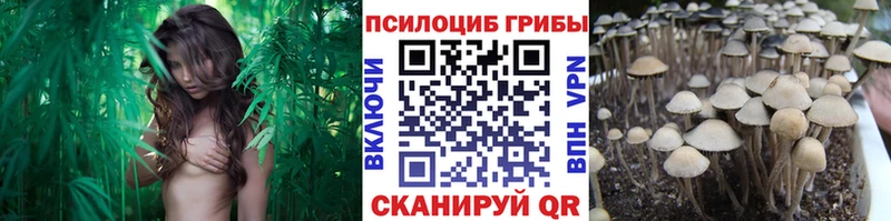 Галлюциногенные грибы мухоморы  Сосновка 